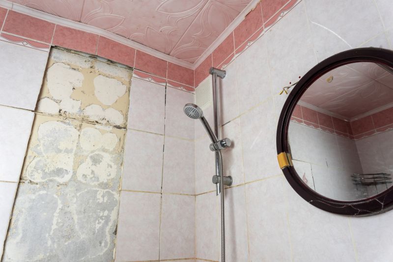 Top Shower Remodeling Companies in Seminole, FL